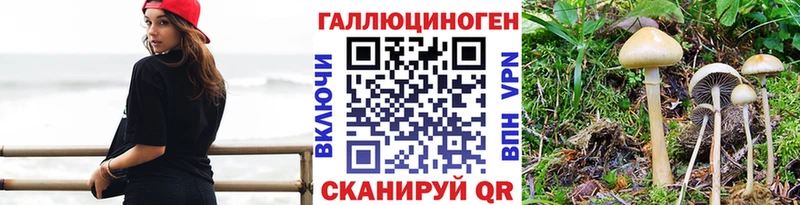 Псилоцибиновые грибы мицелий  KRAKEN онион  Богородск 