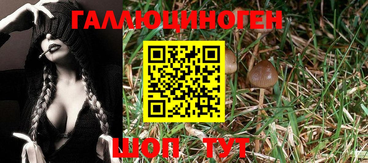 Галлюциногенные грибы прущие грибы  Богородск 